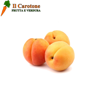 ALBICOCCHE MEDIE - 100 Gr.