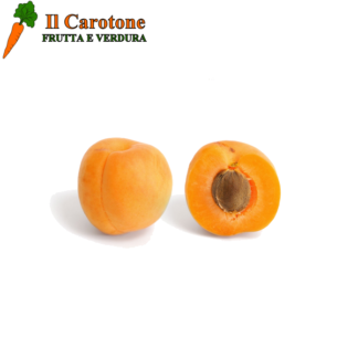 ALBICOCCHE PICCOLE - 100 Gr.