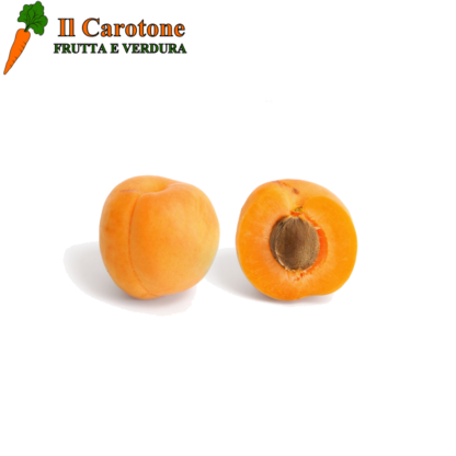 ALBICOCCHE PICCOLE - 100 Gr.