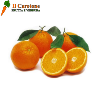 ARANCE NAVEL CHIARE MEDIE - 1 Kg.