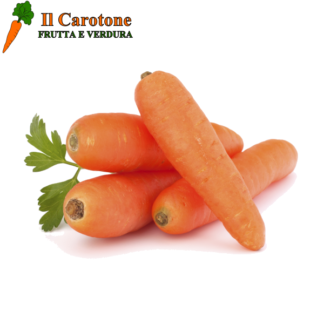 CAROTE - 100 Gr.