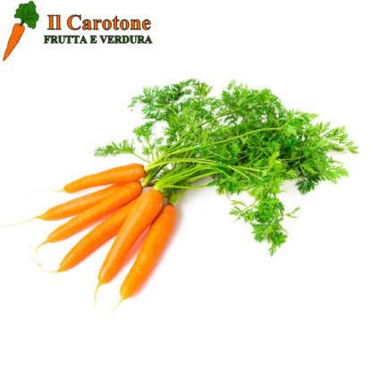 CAROTE CIUFFO A MAZZO - 500 Gr.