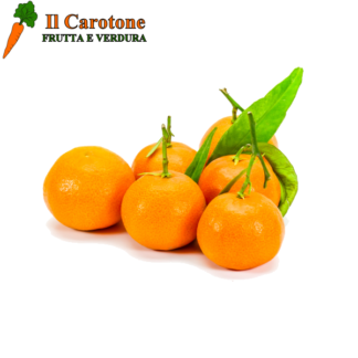 CLEMENTINI SENZA SEMI CON FOGLIA NON CALIBRATI - 1 Kg