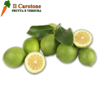 LIMONI VERDELLO ESTIVI - 100 Gr.