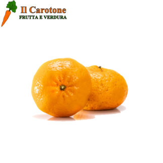 MANDARINI PICCOLI CON SEMI - 1 Kg.