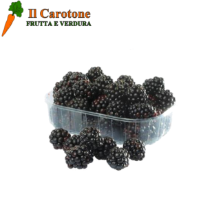 FRUTTI DI BOSCO MORE CESTINO - 125 Gr.