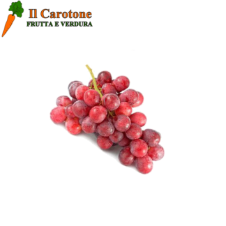 UVA ROSSA ESTIVA - 1 Kg.