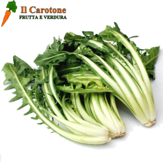 CATALOGNA - 1 Kg.