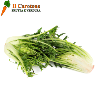 CATALOGNA CIMATA - 1 Kg.