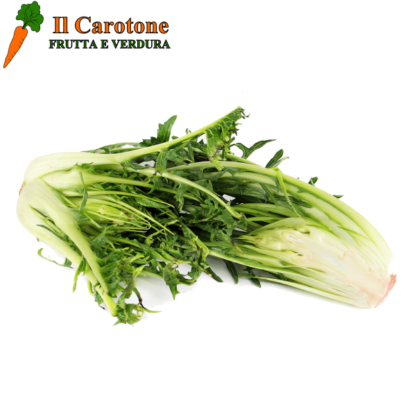 CATALOGNA CIMATA - 1 Kg.