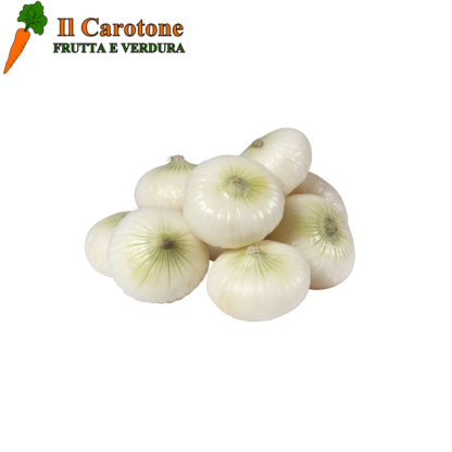 CIPOLLE BIANCHE NUOVE - 1 Kg.