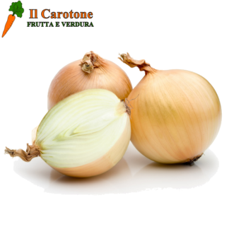 CIPOLLE GIALLE - 1 Kg.