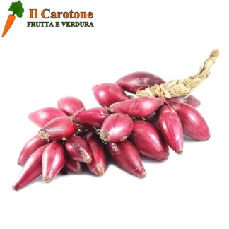 CIPOLLE FRESCA TROPEA - 1 Kg.