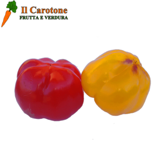 PEPERONI CUNEO CARMAGNOLA GROSSI - 1 Kg.