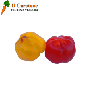 PEPERONI CUNEO CARMAGNOLA PICCOLI - 1 Kg.