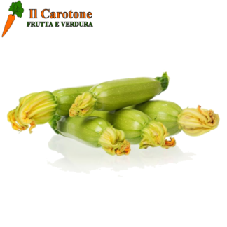 ZUCCHINI BIANCHI FIORE - 1 Kg.